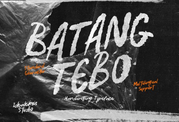 Batang Tebo Typeface Review: A Script Amp Font for Modern Brand Identity