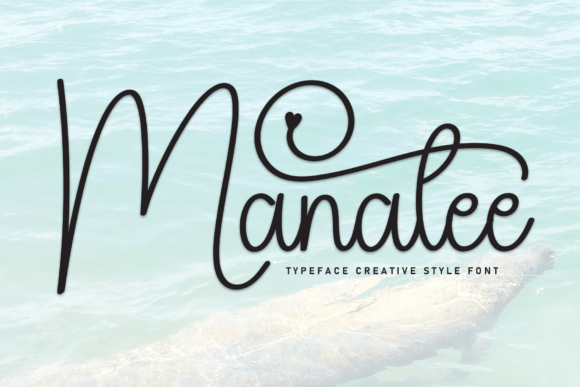 Manatee Font Review: Elevate Your Small Business Brand Identity