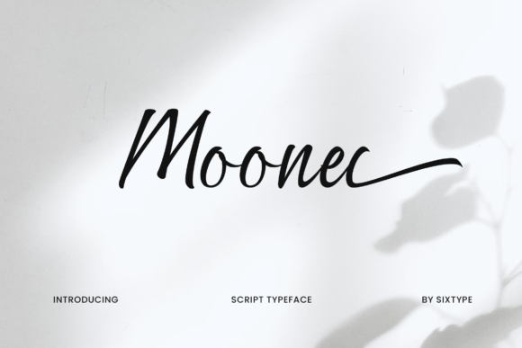 Moonel Typeface: Elevating Editorial Design with Contemporary Elegance