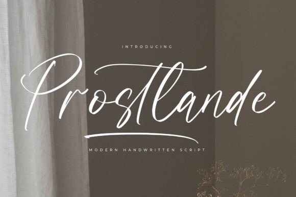 Prostlande: The Modern Script Typeface for Handmade Branding